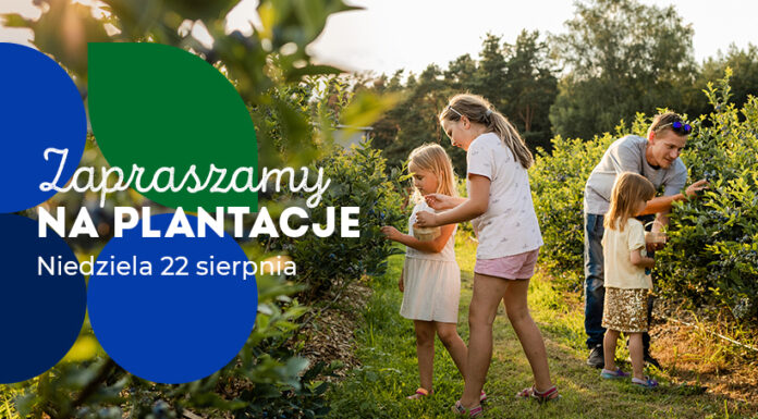 Dziękujemy i zapraszamy na plantacje!