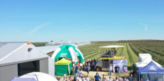 Finałowe spotkanie w ramach projektu Borówkowe Factory 2021