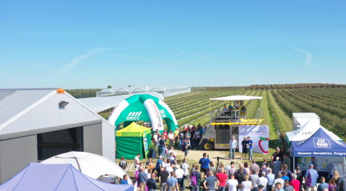 Finałowe spotkanie w ramach projektu Borówkowe Factory 2021