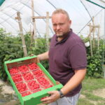Fot. 1. Adam Borzęcki prezentuje owoce które już niedługo oferowane będą pod logo Premium BerryJ_7_2021