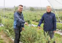 Borówkowe Factory już 10 września 2021. PROGRAM