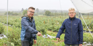 Borówkowe Factory już 10 września 2021. PROGRAM