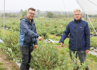 Borówkowe Factory już 10 września 2021. PROGRAM