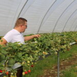 IMG_1586TI_3_Agronom