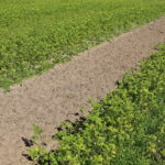 IMG_1632TI_3_Agronom