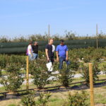 IMG_1753BF_2021