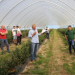 IMG_1778BF_2021