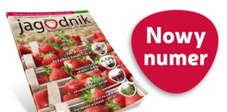 Jagodnik 7/2021 już w sprzedaży