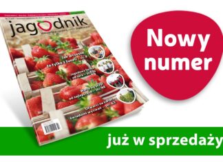 Jagodnik 7/2021 już w sprzedaży