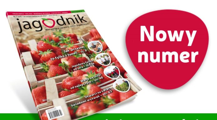 Jagodnik 7/2021 już w sprzedaży