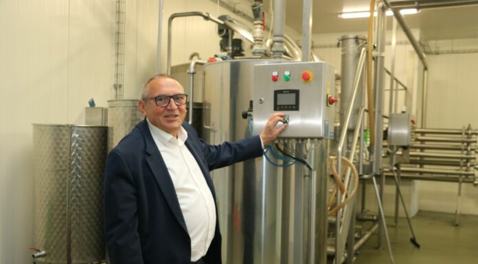 Korab Garden – aroniowi specjaliści