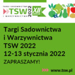 _BANER_INTERNET_pusty_500x250_.indd