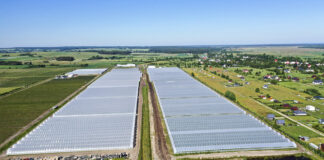 Nowoczesna farma jagodowa i systemy sortowania