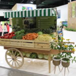 Dlaczego warto kupować lokalniebioexpo_