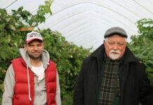 Jagodowe i znacznie więcej