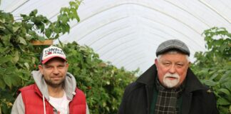 Jagodowe i znacznie więcej