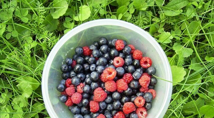 Konsument dyktuje warunki sadownikom