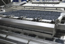 Wzrost eksportu borówek do USA o 4500%. Jak to jest możliwe!