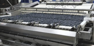 Wzrost eksportu borówek do USA o 4500%. Jak to jest możliwe!