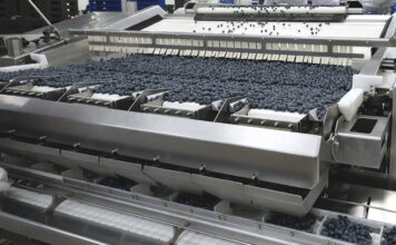 Wzrost eksportu borówek do USA o 4500%. Jak to jest możliwe!