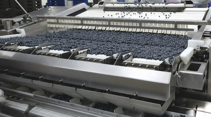 Wzrost eksportu borówek do USA o 4500%. Jak to jest możliwe!