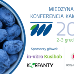 IV_k_Kamczacka