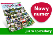 Jagodnik 8/2021 już w sprzedaży