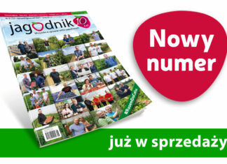 Jagodnik 8/2021 już w sprzedaży