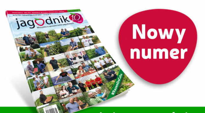 Jagodnik 8/2021 już w sprzedaży