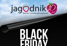 UWAGA! Już jutro BLACK FRIDAY