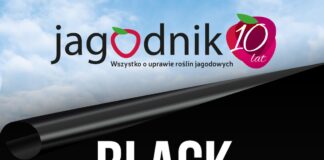 UWAGA! Już jutro BLACK FRIDAY