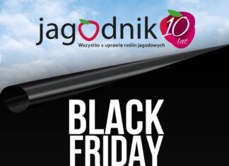 UWAGA! Już jutro BLACK FRIDAY