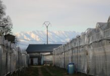 Truskawki po włosku i nie tylko…