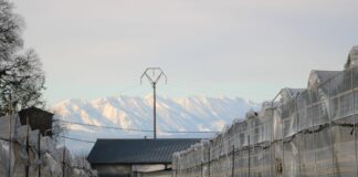 Truskawki po włosku i nie tylko…