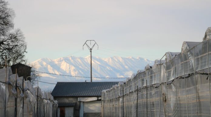 Truskawki po włosku i nie tylko…