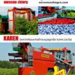 Weremczuk_KarenNR-7