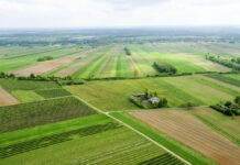 10 mld zł na tegoroczne dopłaty bezpośrednie i płatności obszarowe PROW dla rolników