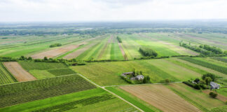 10 mld zł na tegoroczne dopłaty bezpośrednie i płatności obszarowe PROW dla rolników