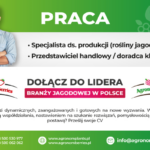 ofertaPracy_Agronom