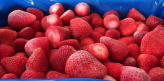 Owoce przemysłowe – analiza rynku, cz. 2: truskawki, maliny, haskap