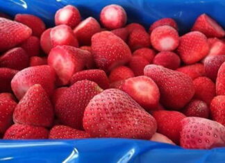 Owoce przemysłowe – analiza rynku, cz. 2: truskawki, maliny, haskap