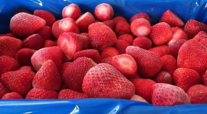 Głowni dostawcy świeżych i mrożonych truskawek z mniejszymi zbiorami