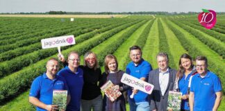 10 lat z Jagodnikiem