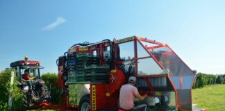 Mechaniczny zbiór malin i borówek kombajnem KAREN – to się opłaca.