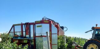 Plantatorzy malin protestują. Czy będą blokady zakładów?