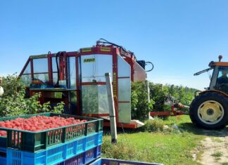 Plantatorzy malin protestują. Czy będą blokady zakładów?