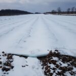 agrowłóknina_Agrimpex
