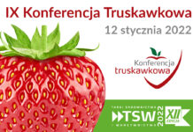 IX Konferencja Truskawkowa (TSW 2022) – Transmisja LIVE