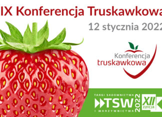 IX Konferencja Truskawkowa (TSW 2022) – Transmisja LIVE