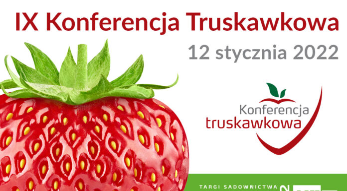 IX Konferencja Truskawkowa (TSW 2022) – Transmisja LIVE